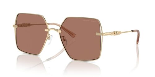 MICHAEL KORS SANYA MK1157D 101403 - gafas de sol