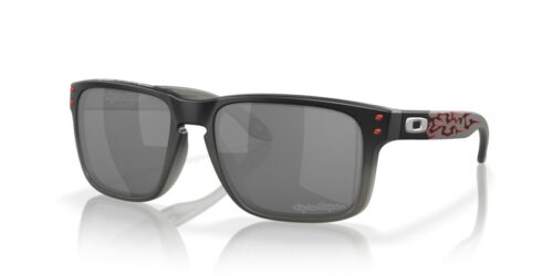 OAKLEY HOLBROOK OO9102 9102Z0 - gafas de sol