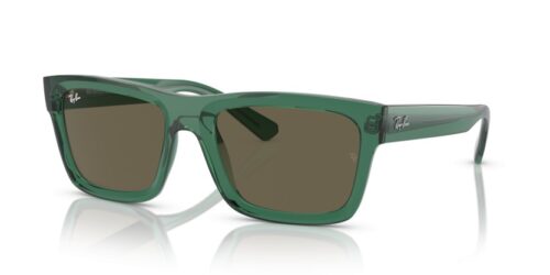 RAY-BAN WARREN RB4396 6681/3 - gafas de sol