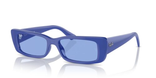 RAY-BAN TERU RB4425 676180 - gafas de sol