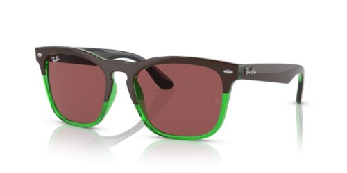 RAY-BAN STEVE RB4487 663469 - gafas de sol