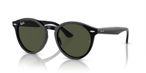 RAY-BAN LARRY RB7680S 901/31 - gafas de sol