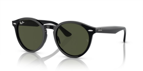 RAY-BAN LARRY RB7680S 901/31 - gafas de sol