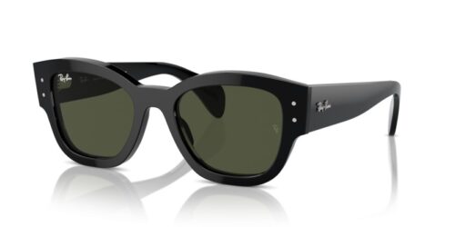 RAY-BAN JORGE RB7681S 901/31 - gafas de sol