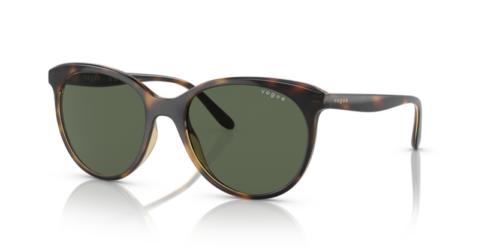 VOGUE VO5453S W65671 - gafas de sol