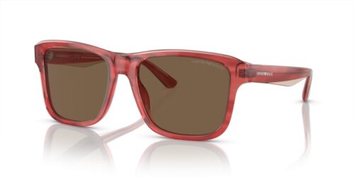 EMPORIO ARMANI EA4208 605373 - gafas de sol