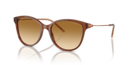 EMPORIO ARMANI EA4220 61103B - gafas de sol