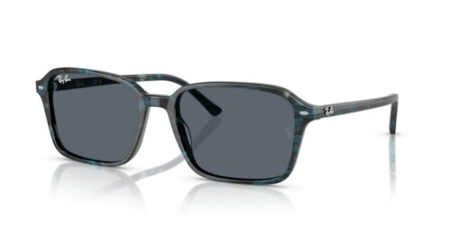 RAY-BAN RAIMOND RB2231 1417R5 - gafas de sol