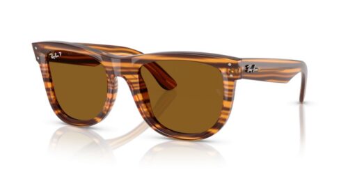 RAY-BAN WAYFARER REVERSE RBR0502S 679183 Polarizadas - gafas de sol