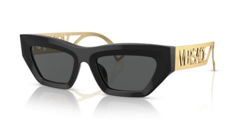 VERSACE VE4432U GB1/87 - gafas de sol